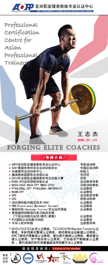 高级培训师 王志杰