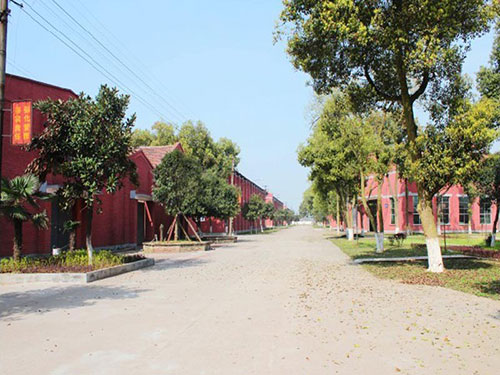 学校园景