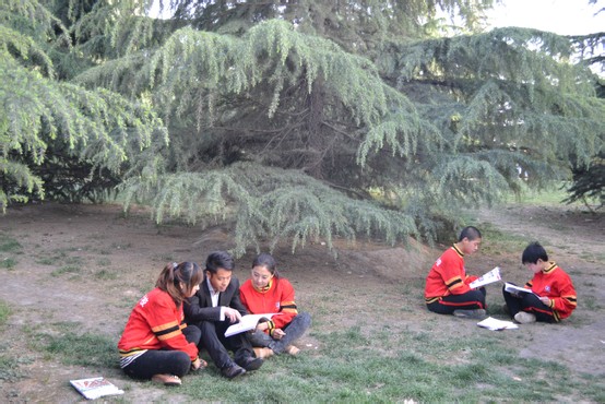 老师在为学生课外辅导